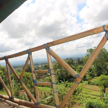Appartement Bali Tree House Pelangi à Bedugul  Extérieur photo