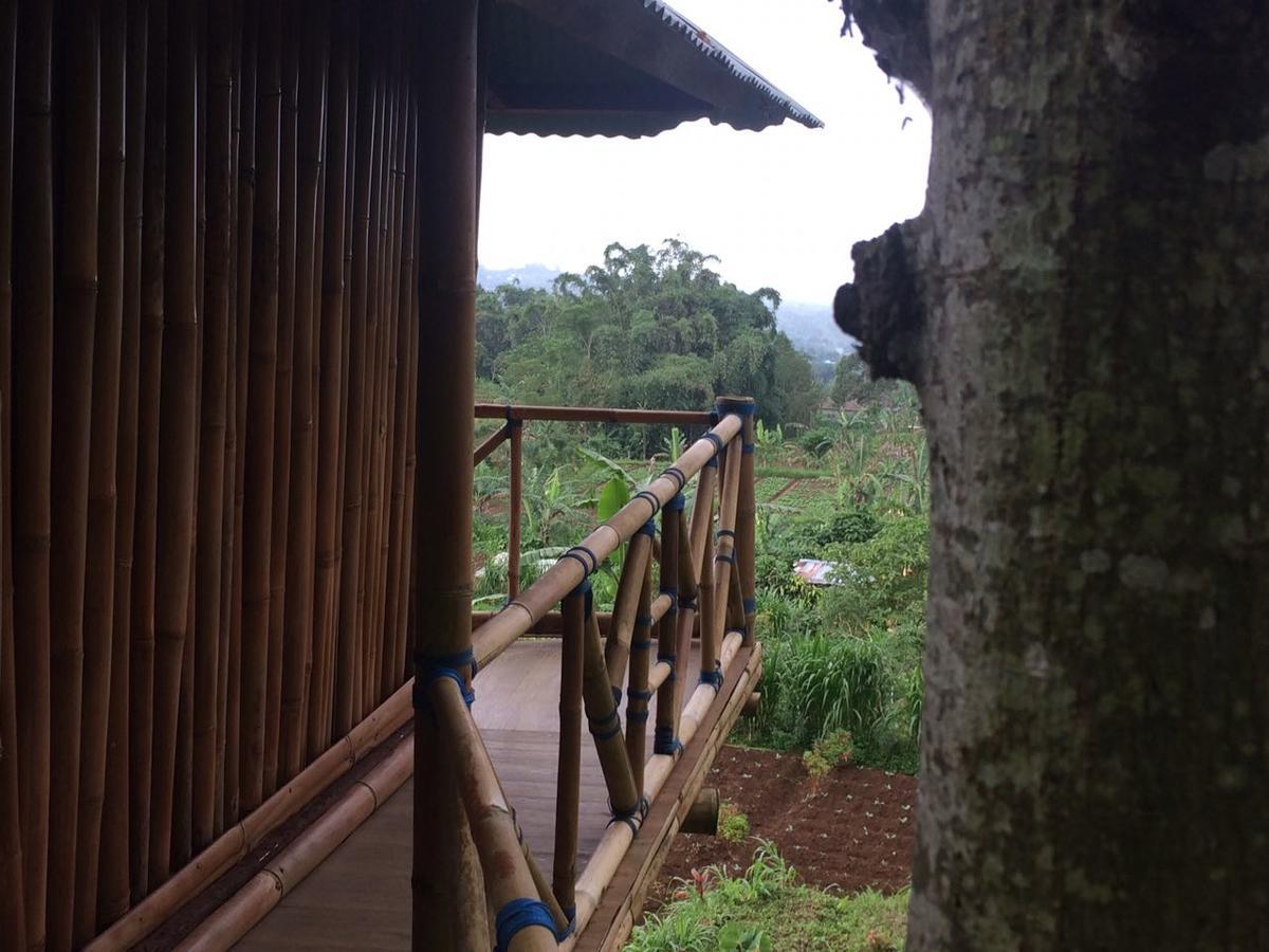 Appartement Bali Tree House Pelangi à Bedugul  Extérieur photo
