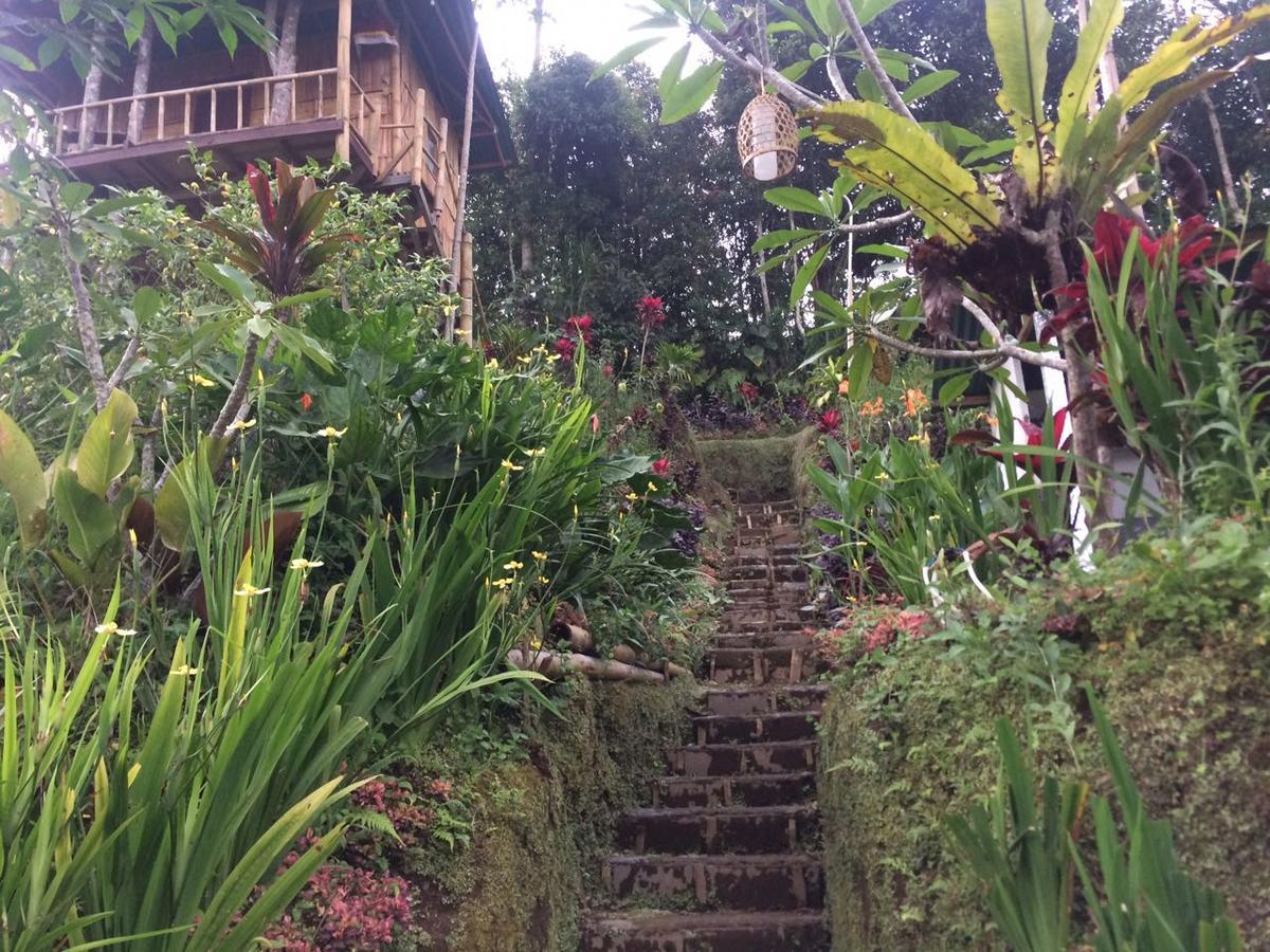 Appartement Bali Tree House Pelangi à Bedugul  Extérieur photo