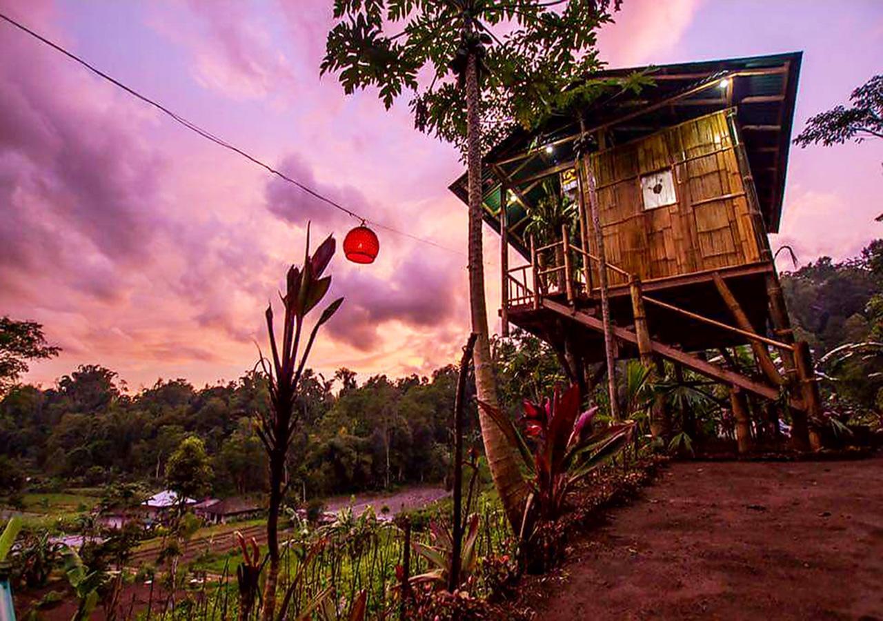 Appartement Bali Tree House Pelangi à Bedugul  Extérieur photo