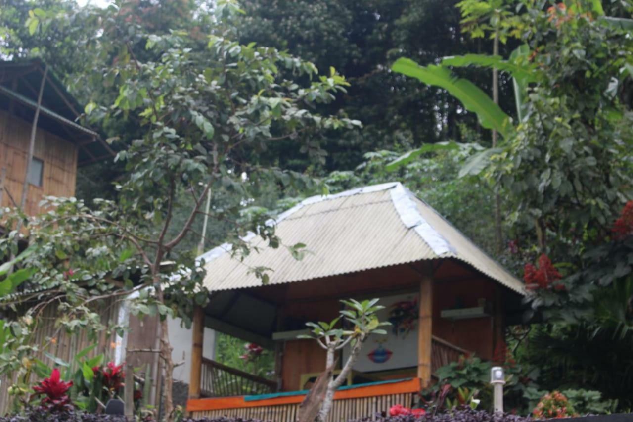 Appartement Bali Tree House Pelangi à Bedugul  Extérieur photo