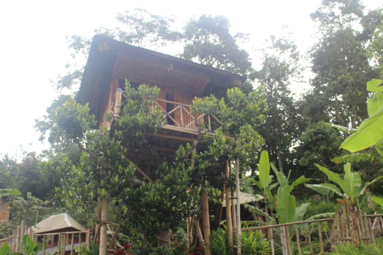 Appartement Bali Tree House Pelangi à Bedugul  Extérieur photo