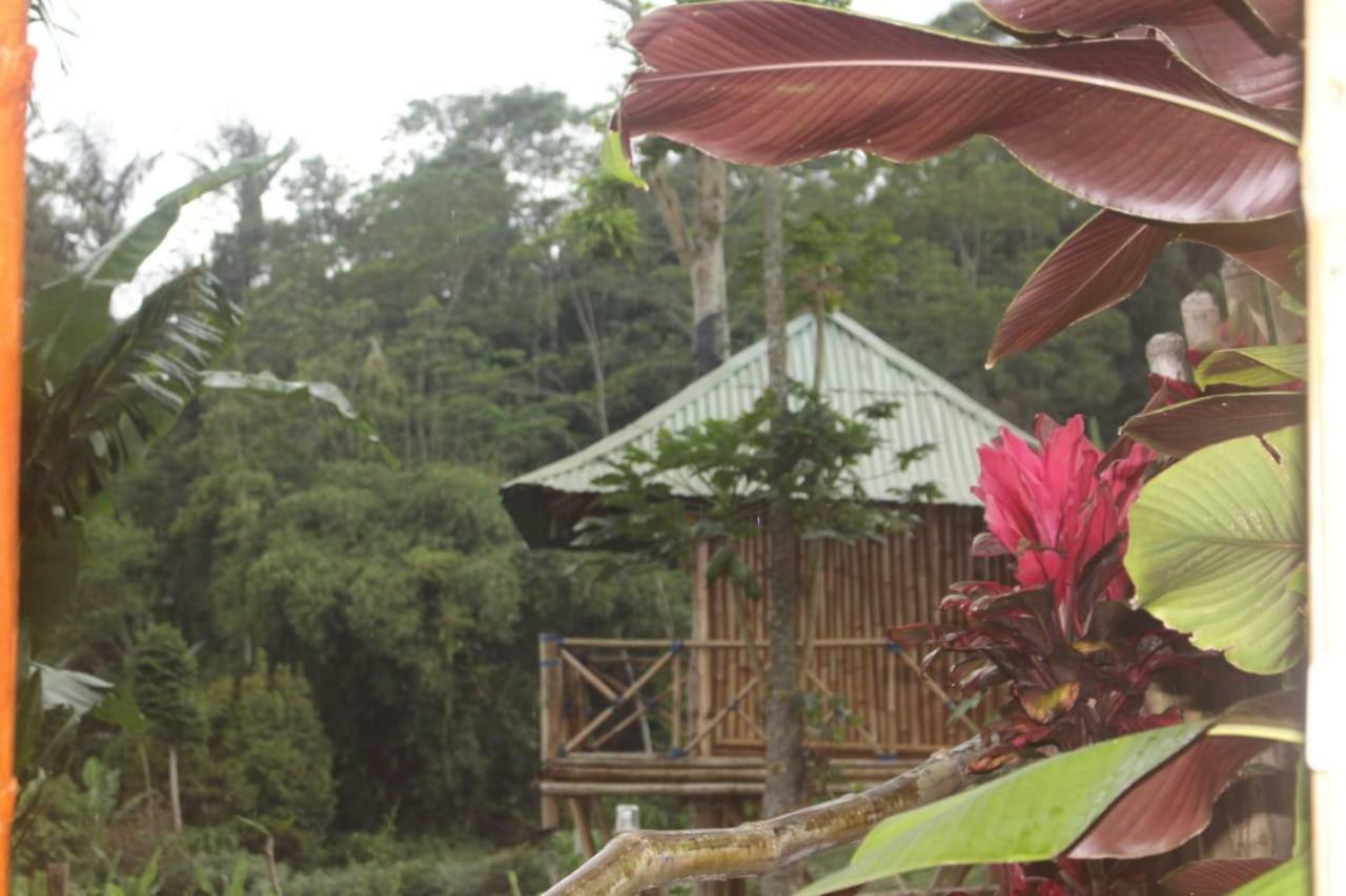 Appartement Bali Tree House Pelangi à Bedugul  Extérieur photo