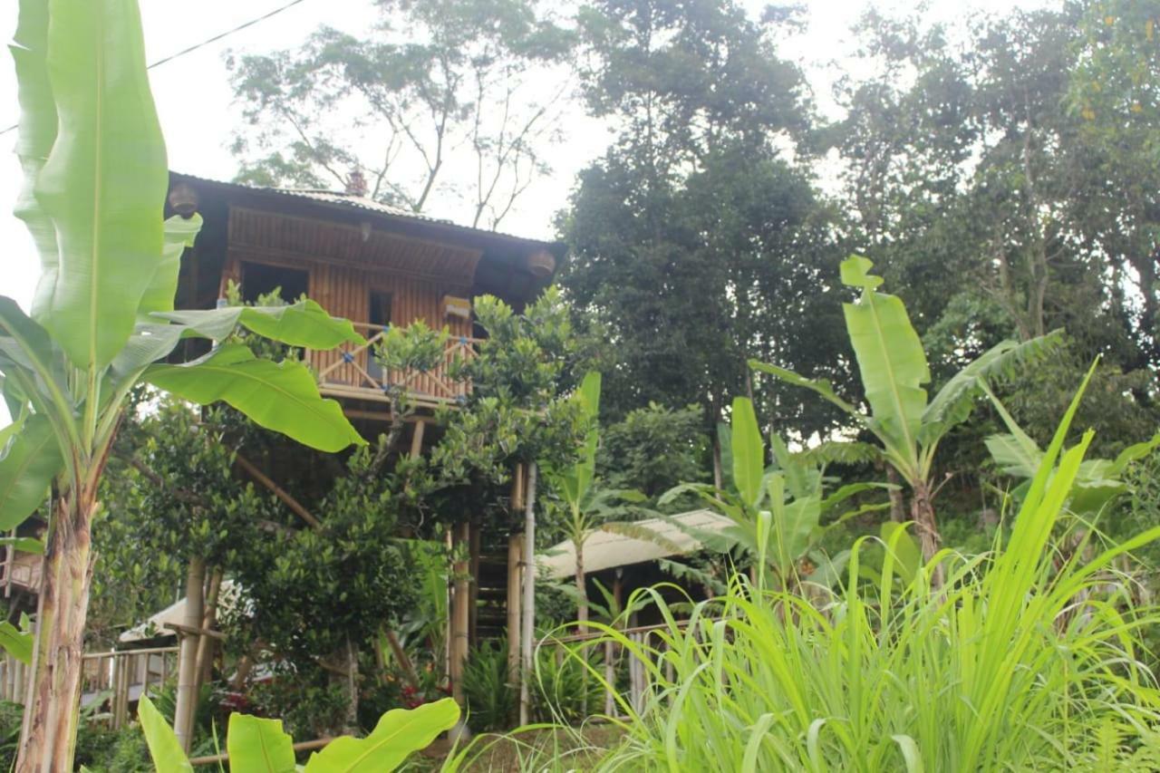 Appartement Bali Tree House Pelangi à Bedugul  Extérieur photo