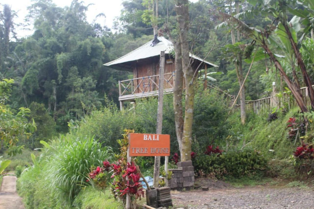 Appartement Bali Tree House Pelangi à Bedugul  Extérieur photo
