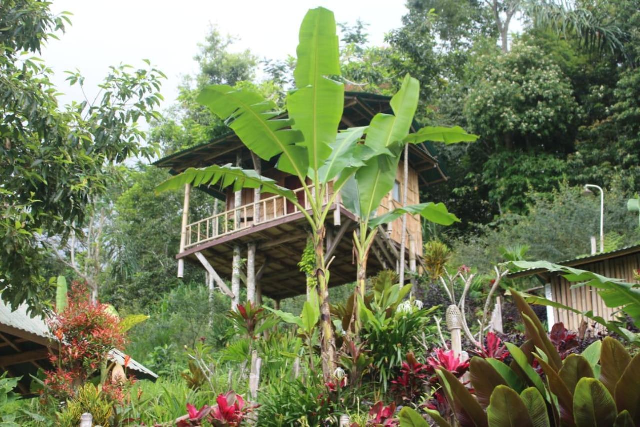 Appartement Bali Tree House Pelangi à Bedugul  Extérieur photo