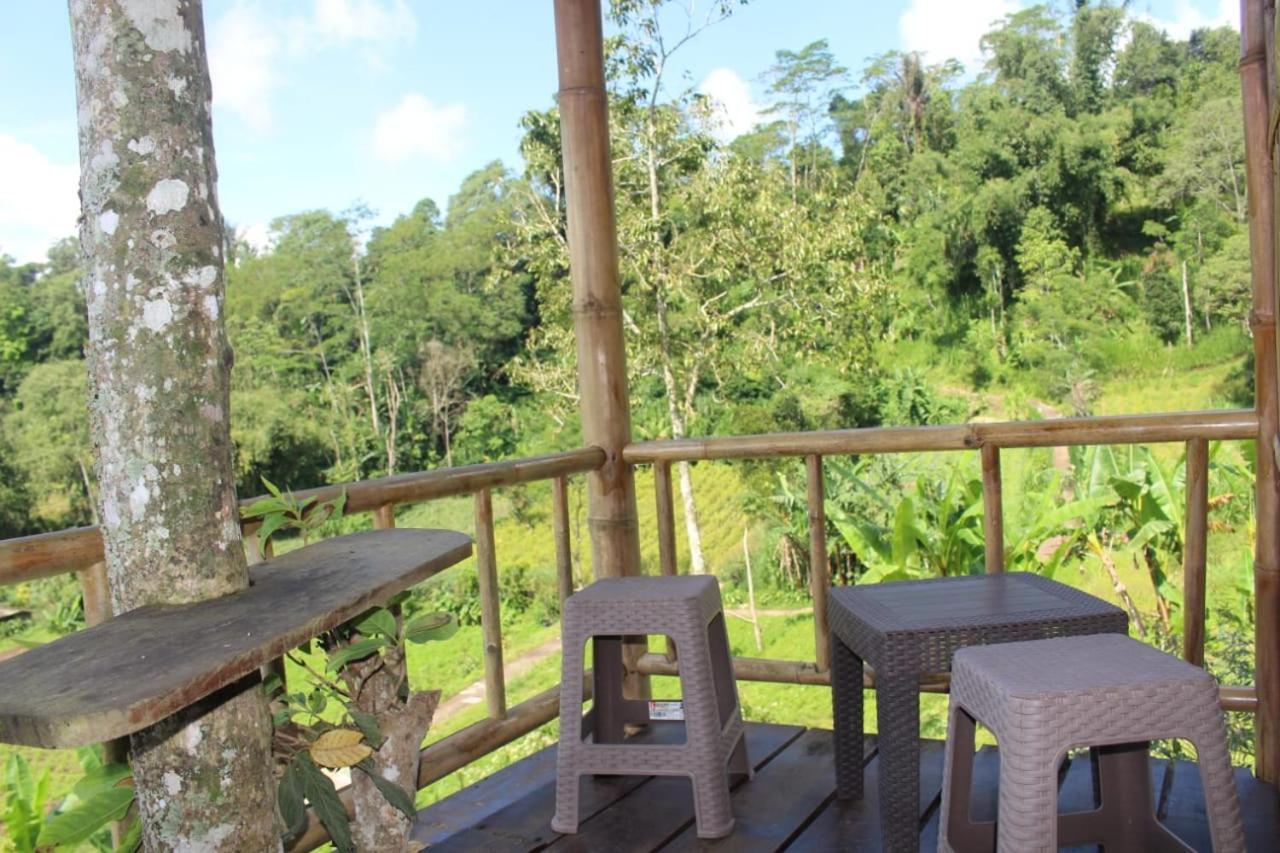 Appartement Bali Tree House Pelangi à Bedugul  Extérieur photo