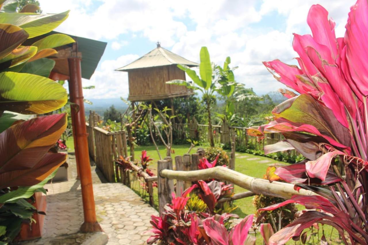 Appartement Bali Tree House Pelangi à Bedugul  Extérieur photo