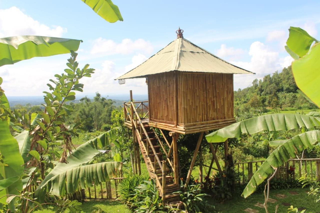 Appartement Bali Tree House Pelangi à Bedugul  Extérieur photo