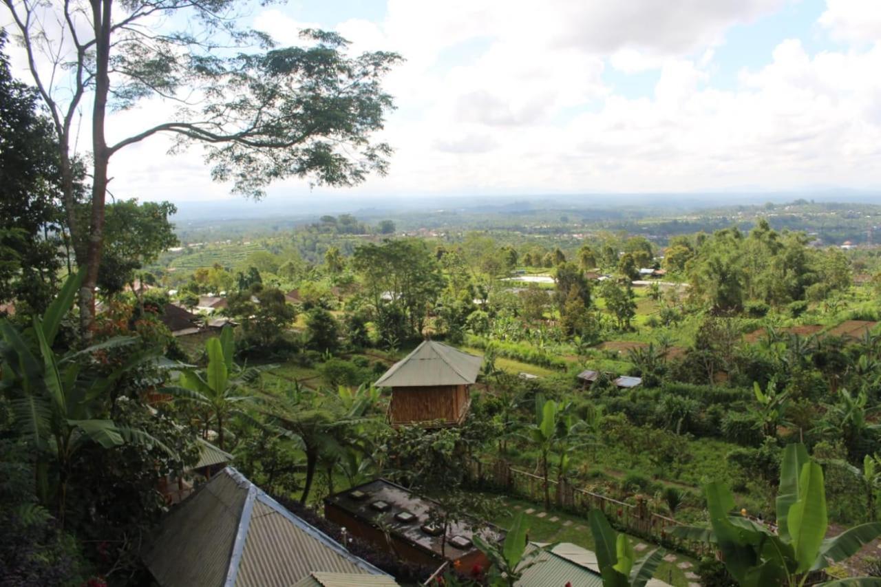 Appartement Bali Tree House Pelangi à Bedugul  Extérieur photo