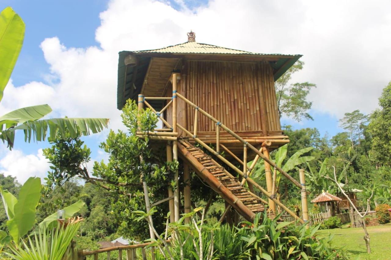 Appartement Bali Tree House Pelangi à Bedugul  Extérieur photo