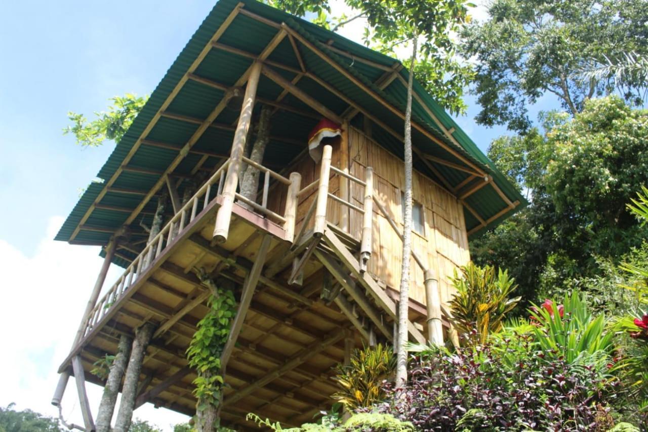 Appartement Bali Tree House Pelangi à Bedugul  Extérieur photo