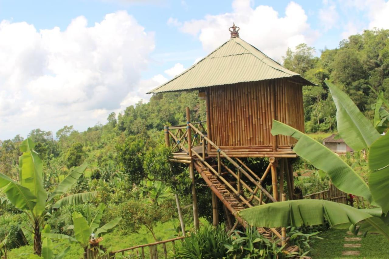 Appartement Bali Tree House Pelangi à Bedugul  Extérieur photo