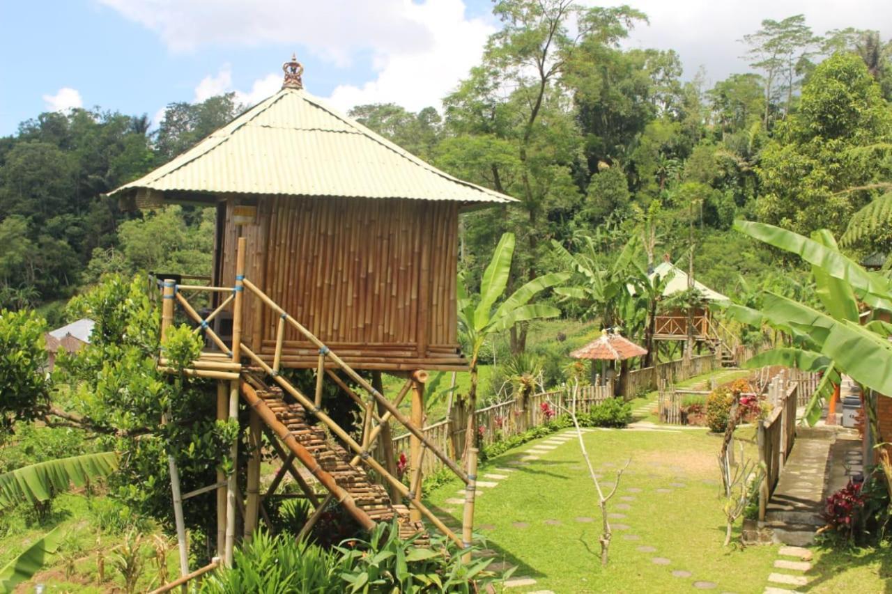 Appartement Bali Tree House Pelangi à Bedugul  Extérieur photo