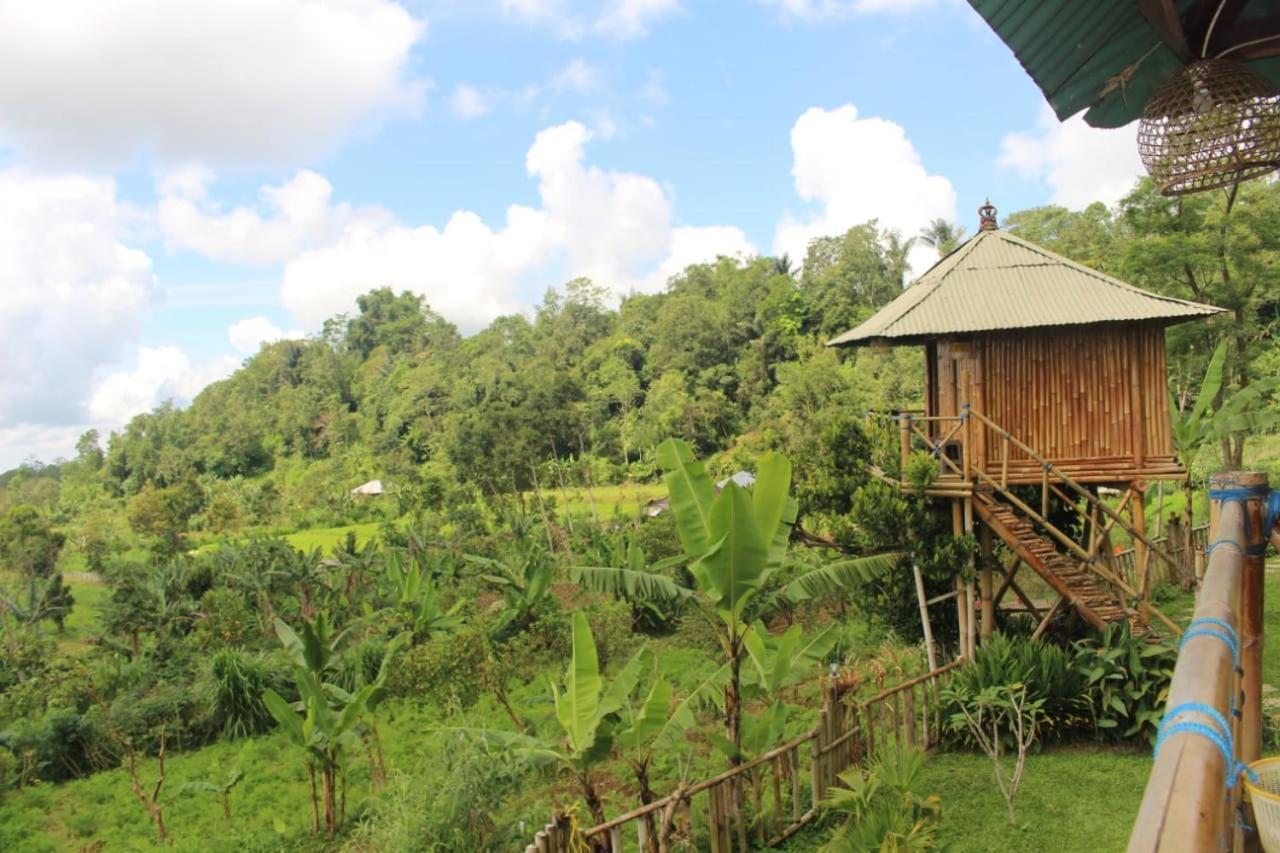 Appartement Bali Tree House Pelangi à Bedugul  Extérieur photo