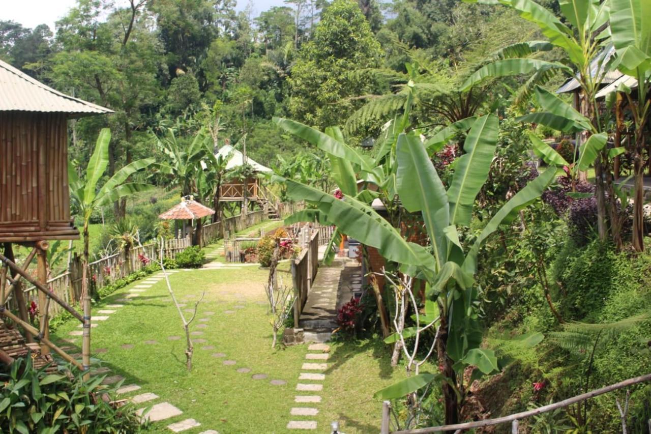 Appartement Bali Tree House Pelangi à Bedugul  Extérieur photo